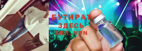 хмурый Пересвет