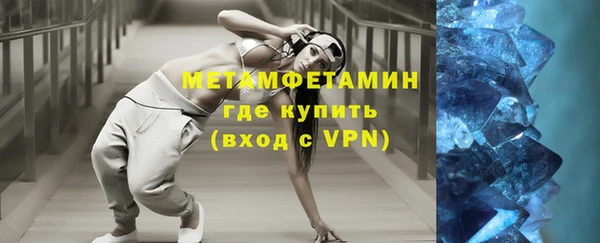 хмурый Пересвет