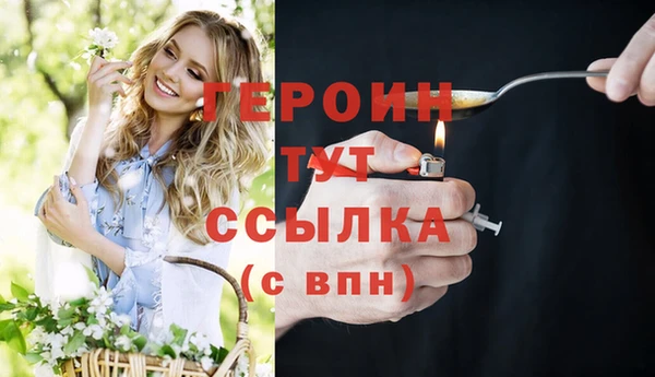хмурый Пересвет