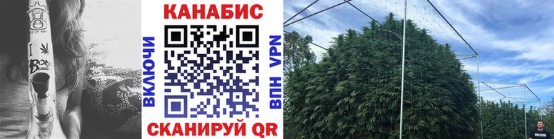 shop клад  Болохово  Марихуана конопля  хочу  